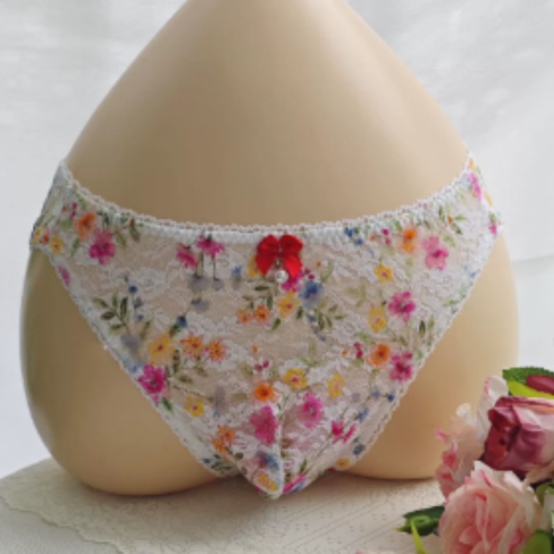 Embroidery Embellishments - Slip in Pizzo Trasparente Sexy da
