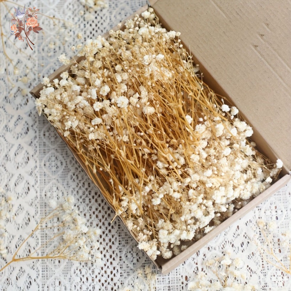Craft Embellishments - 100 Pezzi Mini Fiori Secchi di