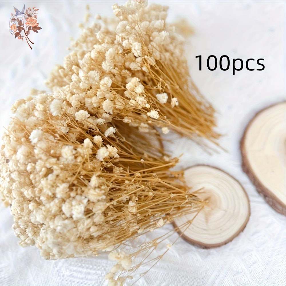 100 Pezzi Mini Fiori Secchi di - Craft Embellishments recensione e prezzo